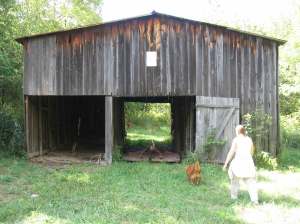 tobacco-barn